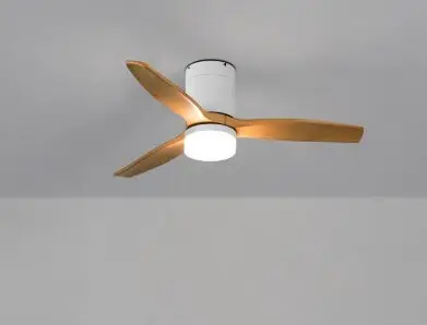 Ventilateur de plafond